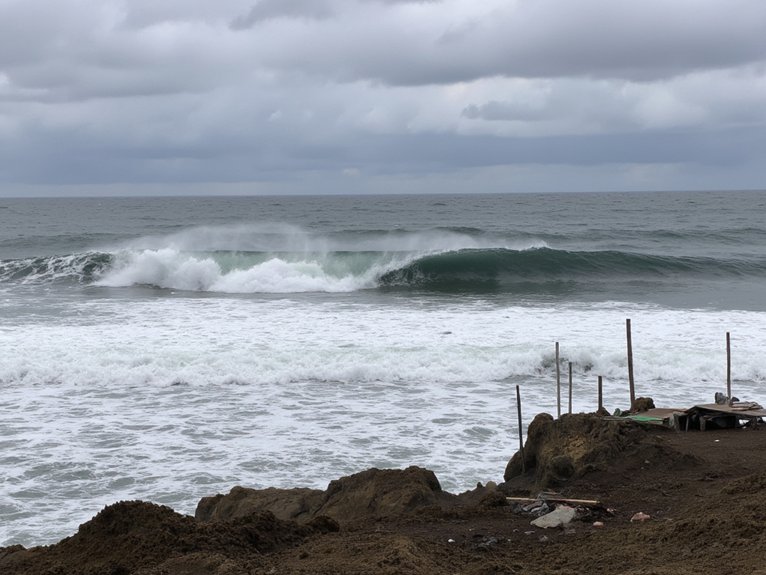 tsunami warning signs awareness